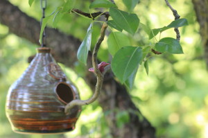 Here is a better picture of the little bird on the Curly Willow perch. 