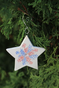 Star Shaped Queen Anne's Lace Muli Colored Red and Blue Ornament